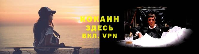 кокс Аркадак