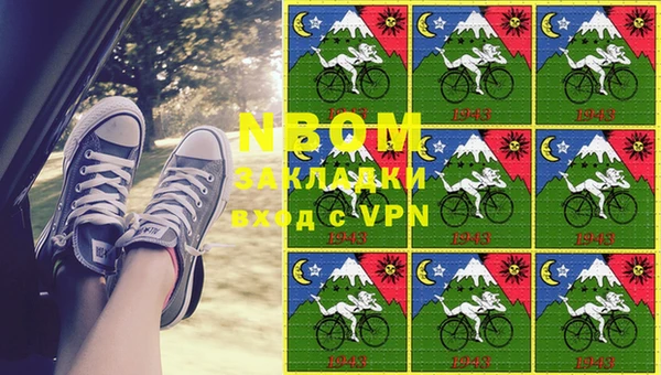 ГАЛЛЮЦИНОГЕННЫЕ ГРИБЫ Алексин