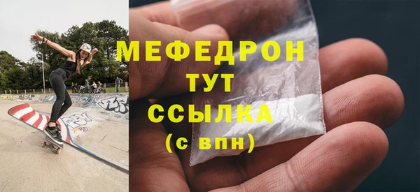 индика Осташков